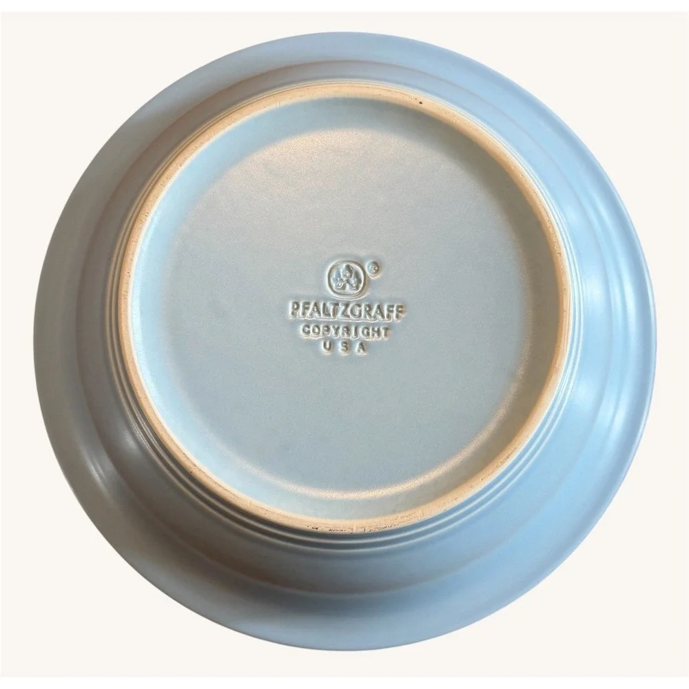 Pfaltzgraff Terrace Azure 9.75